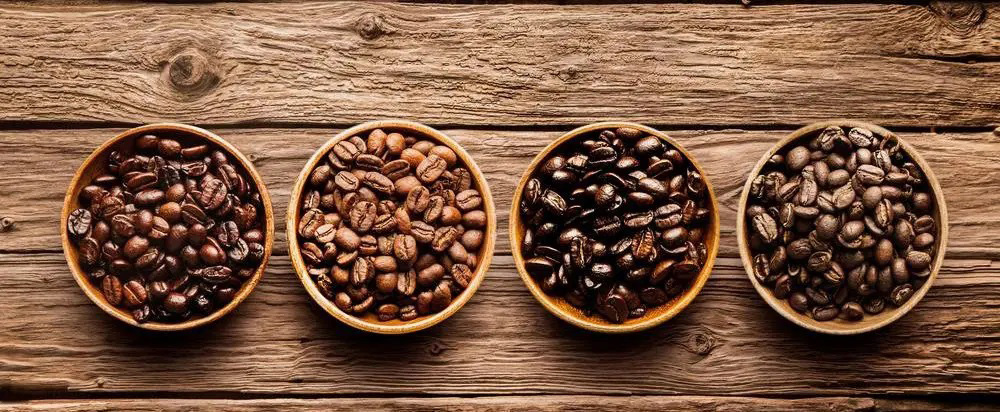 با انواع دانه قهوه آشنا شوید