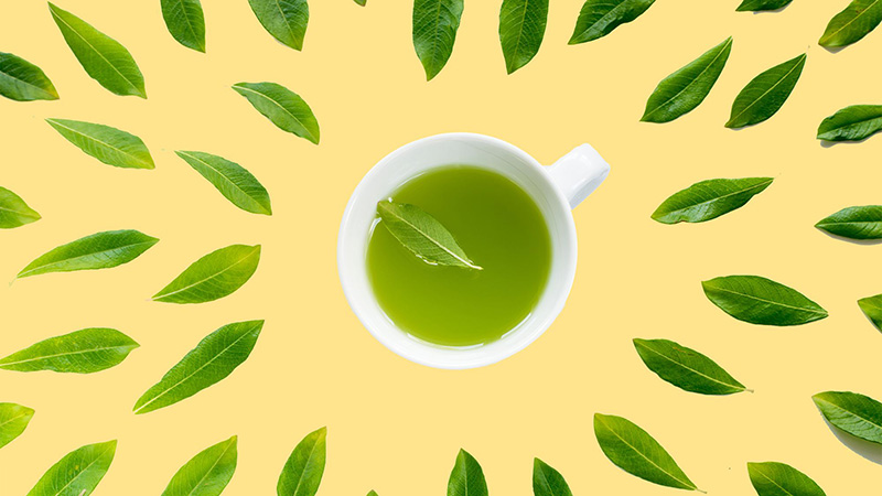 تمام آنچه که باید در مورد خواص و مضرات چای سبز بدانید