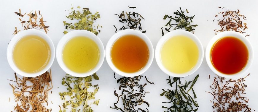 همه چیز درباره‌ی چای؛ از انواع و فرایند تولید تا خواص و ترکیبات